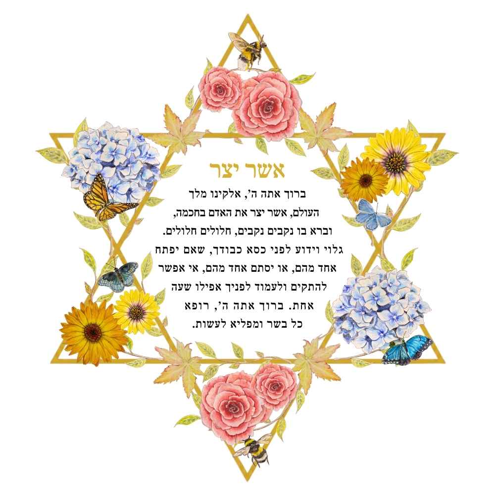 David's Garden Asher Yatzar with hydrangeas, roses, golden flowers, butterflies and bees