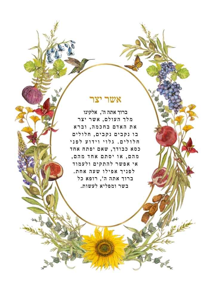 Festival of Fruits Asher Yatzar with grapes, pomegranates, figs, dates, olives, a sunflower, hummingbird and butterfly