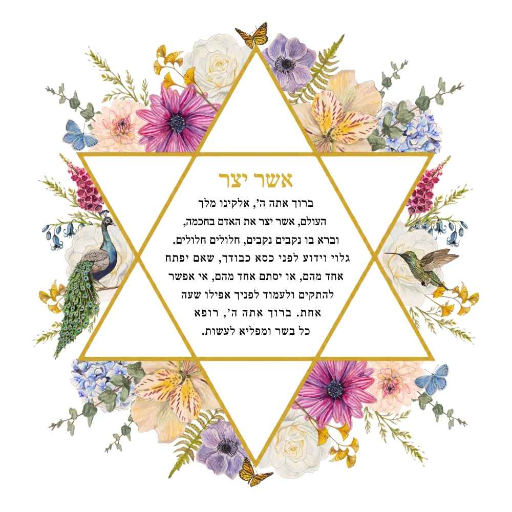 Magen Dovid in Bloom Asher Yatzar inside a golden Star of David with roses, hydrangeas, a peacock, hummingbird and butterflies